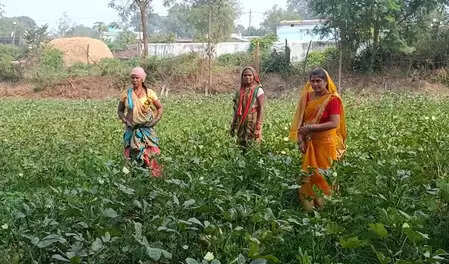 छत्तीसगढ़: गरियाबंद में लखपति दीदी योजना से लाखों कमा रहीं ग्रामीण महिलाएं