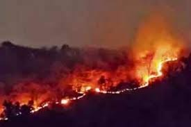 आग से दहक रहे झारखंड के जंगल, हाथियों के अधिवास वाले इलाकों तक पहुंचीं लपटें