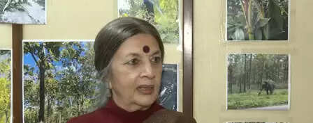 कुलदीप सिंह सेंगर के प्रकरण पर बोली वृंदा करात, 'आरोपी के परिजन तो साथ देंगे ही...'