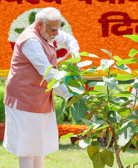 पीएम मोदी ने की 'एक पेड़ मां के नाम' अभियान से जुड़ने की अपील, बोले- 'एक पौधा बन सकता है भविष्य की विरासत'