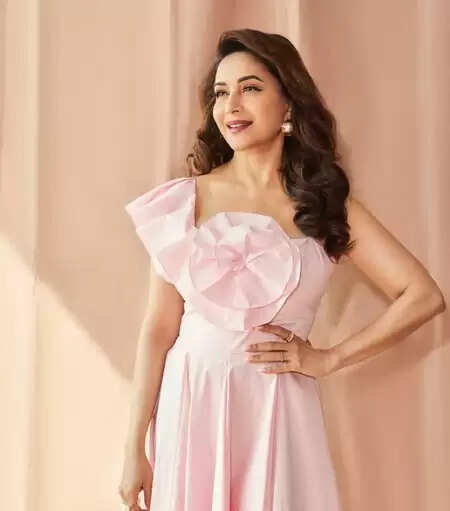 स्क्रीन से दूर रहने के सवाल पर बोलीं माधुरी दीक्षित, 'मेरे लिए प्रोजेक्ट्स के क्वांटिटी से ज्यादा क्वालिटी महत्वपूर्ण'