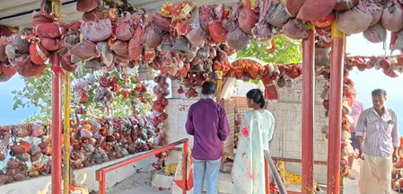 छत्तीसगढ़: कोरबा के मां कोसगाई दाई मंदिर में क्यों चढ़ाया जाता है सफेद ध्वज? जानिए इतिहास और मान्यता