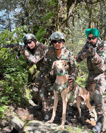 भारतीय सेना के जांबाज डॉग्स ने अमेरिकी सैनिकों के सामने दिखाया कौशल
