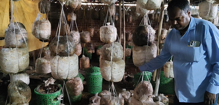 पीएमएफएमई योजना: शेखपुरा के किसान वीरू रजक ने मशरूम खेती से बदली जिंदगी, पीएम मोदी को धन्यवाद दिया