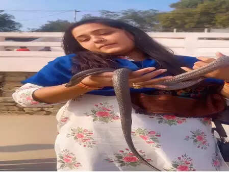 मकर संक्रांति पर काजल राघवानी का 'सर्प प्रेम', कोबरा का लिया आशीर्वाद