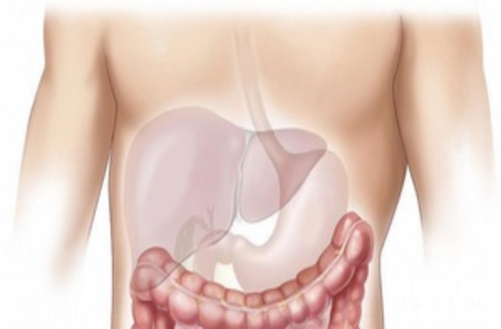 अपने लिवर को स्वस्थ रखने के लिए अच्छी नींद लें, जंक फूड से बचें