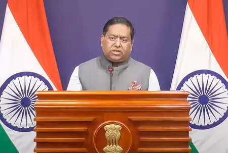 हम विदेशी मिशन की सुरक्षा सुनिश्चित करने के लिए प्रतिबद्ध : भारतीय विदेश मंत्रालय