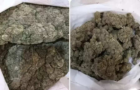 बैंकॉक से आए यात्रियों से बड़ी मात्रा में ड्रग्स जब्त, मुंबई एयरपोर्ट पर बड़ी कार्रवाई