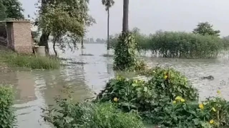 बिहार में कम बारिश के बावजूद उफान पर प्रमुख नदियां, कई जिलों में बाढ़ का खतरा