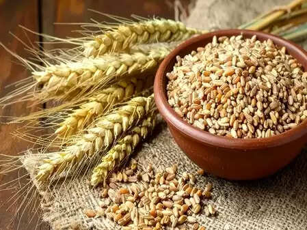 शरीर के लिए अमृत समान है गेहूं, आयुर्वेद से जानें कब सेवन है लाभकारी
