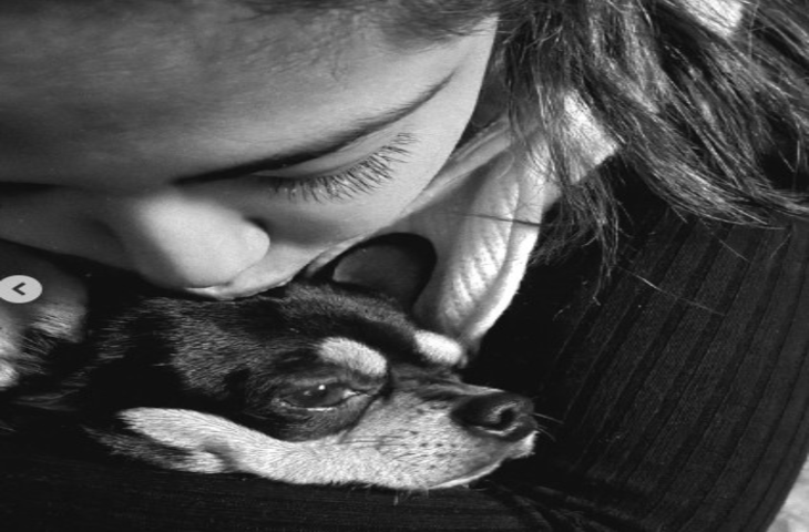 अविका गौर ने बताया कैसे एक बिल्ली ने उनके टूटे हुए दिल को दोबारा जोड़ा