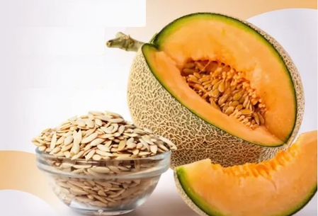 ‘खरबूजे के बीज’ : पोषक तत्वों से भरपूर सुपरफूड, इम्युनिटी बूस्ट तो ब्लड प्रेशर को करे कंट्रोल