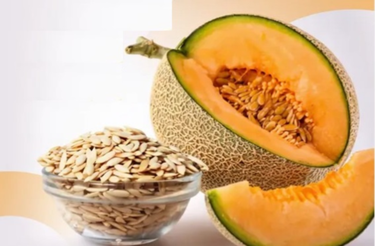 &lsquo;खरबूजे के बीज&rsquo; : पोषक तत्वों से भरपूर सुपरफूड, इम्युनिटी बूस्ट तो ब्लड प्रेशर को करे कंट्रोल