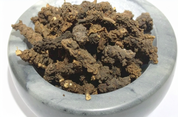 सुगंध बाला: नींद, तनाव और पाचन सुधारने वाली आयुर्वेदिक जड़ी-बूटी