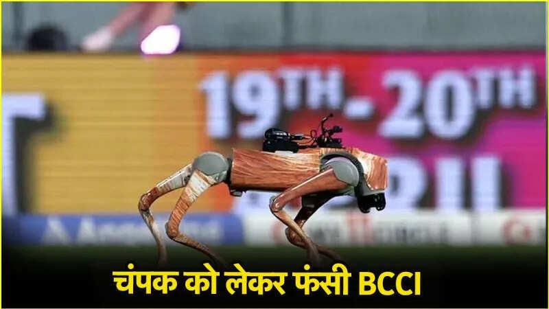 रोबोट डॉग का नाम ‘चंपक’ रखने पर BCCI की बढी मुश्किलें, हाई कोर्ट ने जारी किया नोटिस