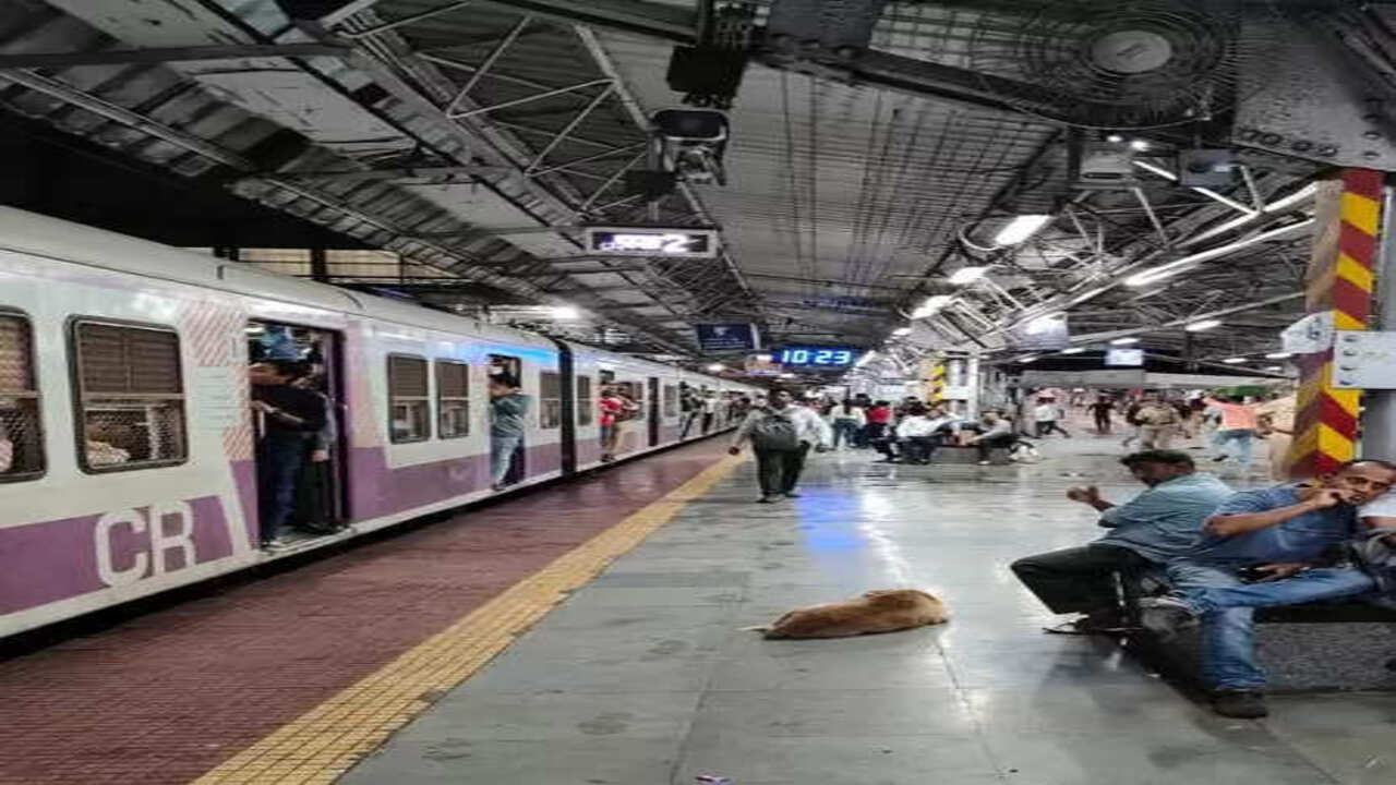 नीट की दोबारा परीक्षा के लिए मुंबई में नियमित चलेंगी ट्रेनें, स्टेशनों पर बनाए गए हेल्प डेस्क