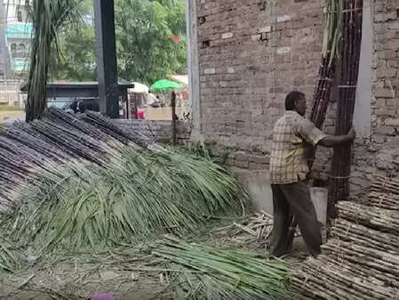 यूपी में गन्ना किसानों की फसल का होगा जीपीएस सर्वे, सीएम योगी के निर्देश पर तैयारी शुरू