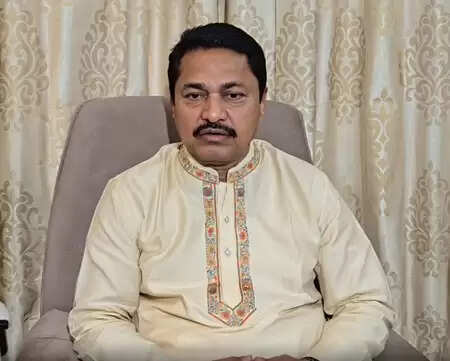 महाराष्ट्र निकाय चुनाव : भाजपा और एआईएमआईएम पर नाना पटोले का तंज, 'उनमें कोई फर्क नहीं'