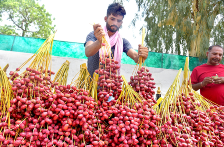 पीएम स्वनिधि योजना के तहत 75.5 लाख से अधिक रेहड़ी-पटरी विक्रेताओं को मिले 112 लाख से ज्यादा लोन