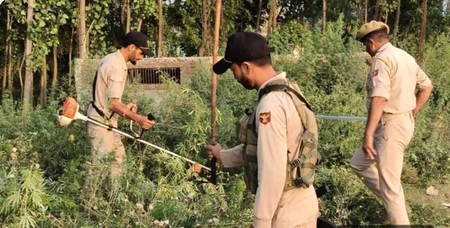नशा मुक्त जम्मू-कश्मीर अभियान के सौ दिन पूरे, बारामूला पुलिस को मिली बड़ी सफलता