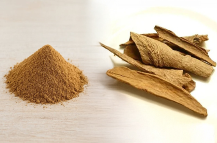 लोध्र: त्वचा और स्त्री स्वास्थ्य के लिए आयुर्वेद की शक्तिशाली वनौषधि, जानिए फायदे