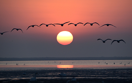 चीन ने "प्राकृतिक संरक्षण क्षेत्रों पर चीन लोक गणराज्य के विनियम" जारी किए
