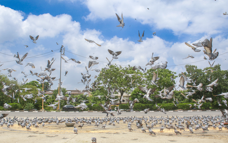 एनसीआर में 13-14 अप्रैल को तेज हवाओं का अलर्ट, तापमान में जल्द होगी बढ़ोतरी, एक्यूआई येलो जोन में