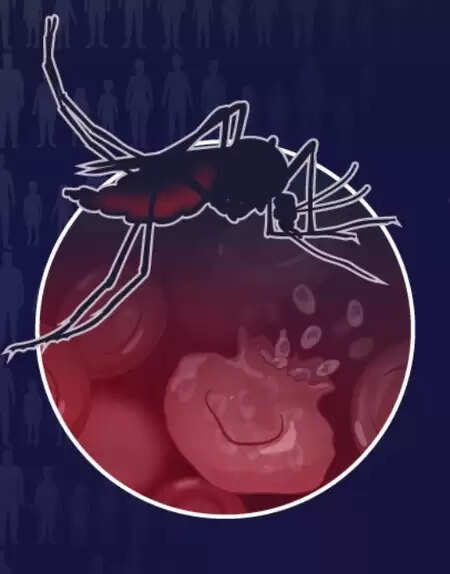 2024 में मलेरिया के कारण 6 लाख से ज्यादा लोगों ने गंवाई जान, ड्रग रेजिस्टेंस बड़ी वजह: डब्ल्यूएचओ