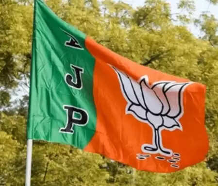 शिवसेना को बदलापुर में बड़ा झटका, उपशहर प्रमुख प्रवीण राऊत समेत कई कार्यकर्ता भाजपा में शामिल