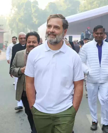 हम बाबा साहेब के विचारों और संविधान की रक्षा करते हैं: राहुल गांधी