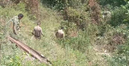 उत्तराखंड : पौड़ी गढ़वाल में दर्दनाक हादसा, शादी से लौट रही इको कार खाई में गिरी; महिला की मौत