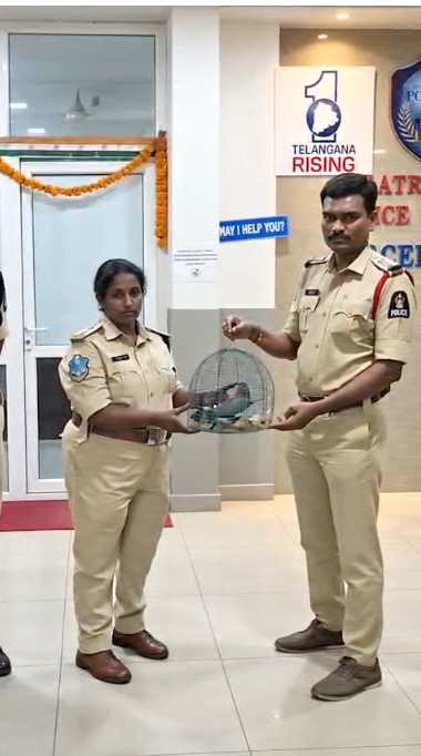 हैदराबाद में दशहरा पर अंधविश्वास की भेंट चढ़ने से चार इंडियन रोलर पक्षियों को पुलिस ने बचाया