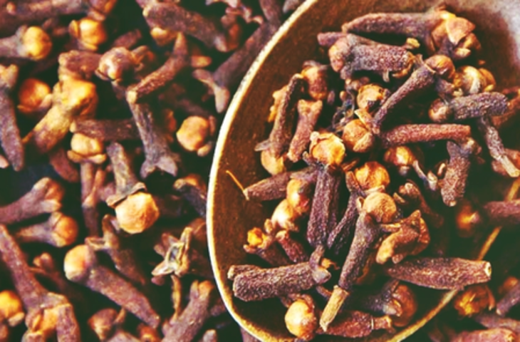 ज्योतिष टिप्स: घर से निकलते समय मुंह में रखें लौंग, बिना बाधा के पूरा होगा काम