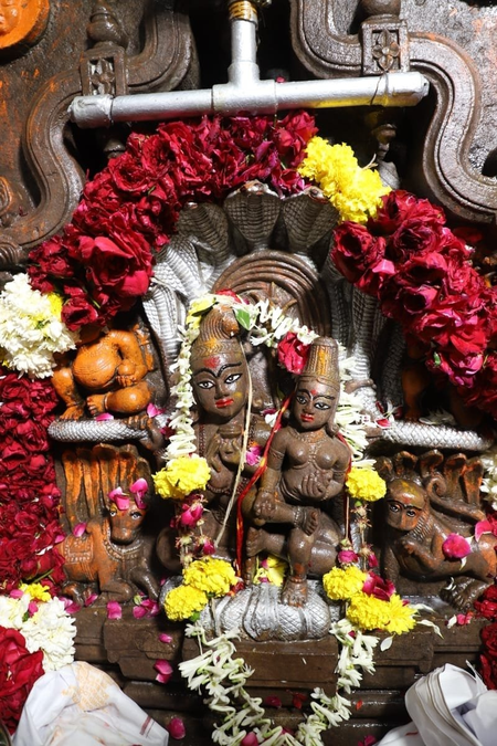 उज्जैन के नागचन्द्रेश्वर मंदिर में उमड़ी भक्तों की भीड़