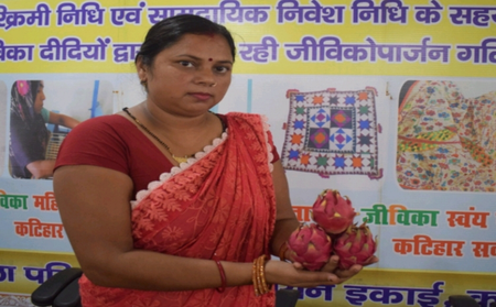 बिहार : ड्रैगन फ्रूट की खेती से खुली तरक्की की राह, रीना देवी बनीं गांव की प्रेरणा