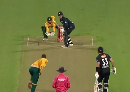 दक्षिण अफ्रीका ने जीती टी20 सीरीज, पांचवें मैच में न्यूजीलैंड को 33 रन से हराया