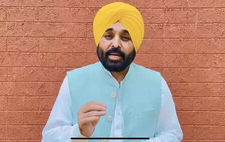 पंजाब सरकार ने बेअदबी से जुड़ा बिल हस्ताक्षर के लिए राज्यपाल भेजा: भगवंत मान