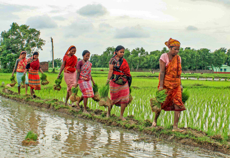 पश्चिम बंगाल: प्रवासी मजदूर परिवारों की पहचान कर रोजगार कार्ड देगी सरकार