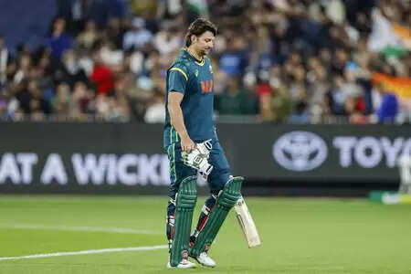 'वह ऑस्ट्रेलियाई क्रिकेट का बड़ा नाम, टी20 विश्व में खेलने की उम्मीद', टिम डेविड की इंजरी पर बोले नाथन एलिस