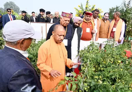 उन्नत खेती की राह पर उत्तर प्रदेश, नवाचार से बढ़ रही किसानों की समृद्धि