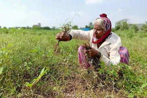 पीएम किसान: मोदी सरकार की इस योजना के लिए 31 मार्च तक रजिस्टर करें, आपको दोगुना लाभ होगा