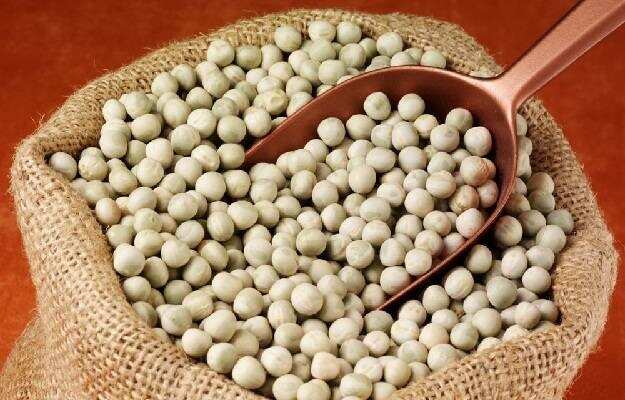 सफेद मटर के अद्भुत स्वास्थ्य लाभ के बारें में जानिए