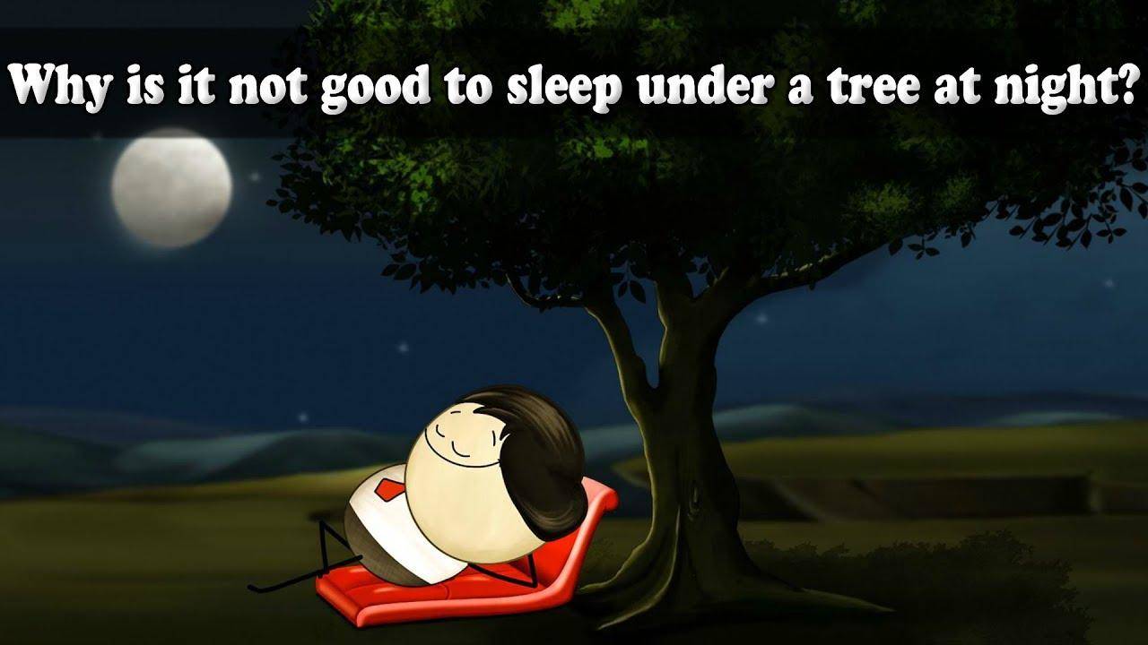 रात को पेड़ के नीचे गलती से भी मत सो जाना, हमेशा के लिए सो जाओगे