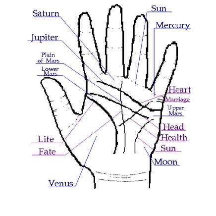 palmistry these lines on the hand tell how much success you will get in your career