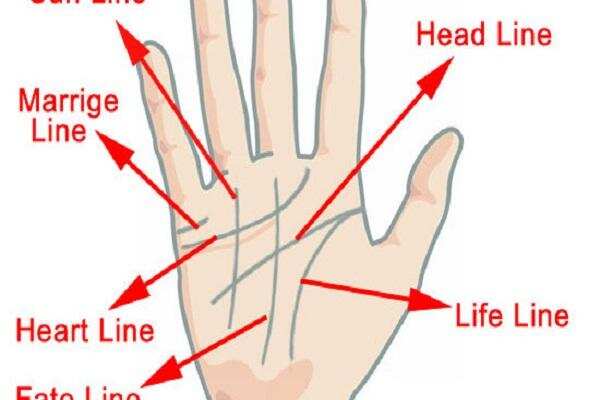 हस्त रेखा: इस पर्वत पर उभार बताता है कितने साहसी हैं आप