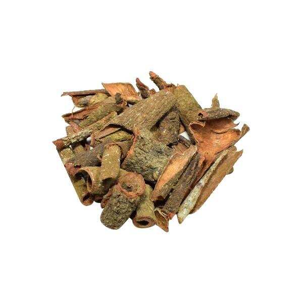 क्या आपको पता हैं कि अशोक की छाल जड़ी-बूटी का काम करती है, जानिए इसके फायदे