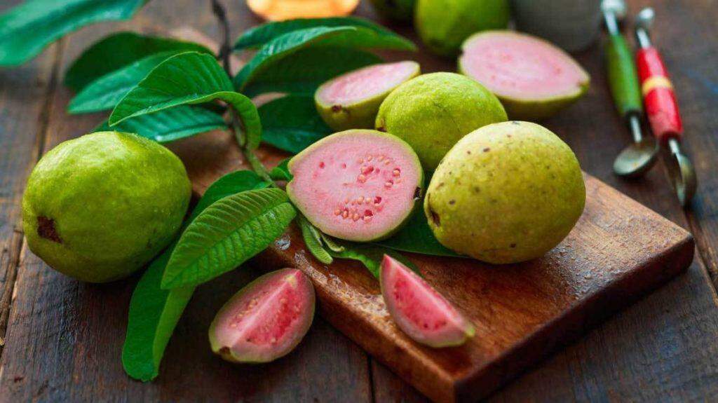 Guava seeds benefits: अमरूद के बीज खाने के इतने सारे फायदे जानकर हैरान रह जाएंगे आप