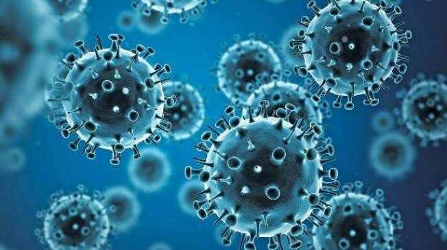 WHO ने कहा, वुहान कोरोना वायरस का स्रोत नहीं है