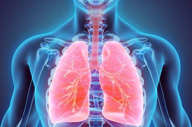 Healthy lungs:कोरोना संक्रमण में फेफड़ों को स्वस्थ रखने के लिए, इन बातों का रखें ध्यान