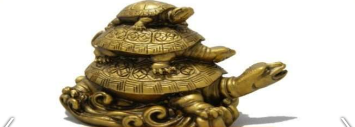 Vastu Tips: धन दौलत का प्रतीक है कछुआ, जानिए कैसे बदलता है ये किस्मत